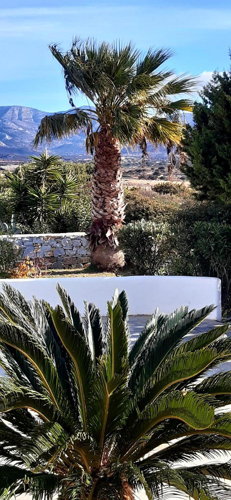 Ferienwohnung Haus Asterakia Aliko Beach Exterior foto